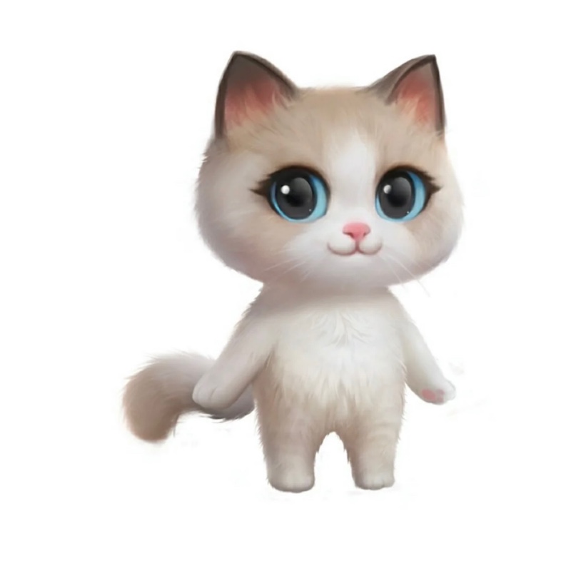 社会主义接班喵