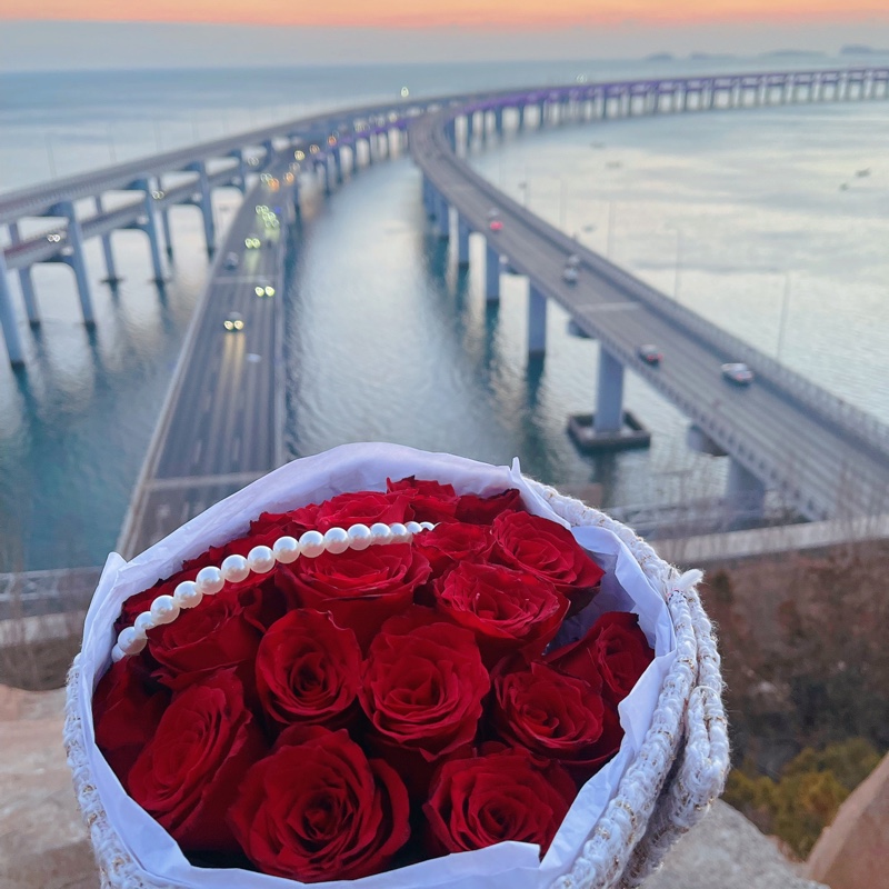 村口那只土豪猪