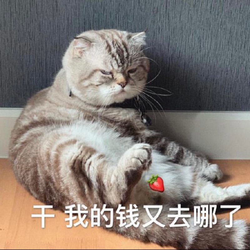 爱剁手苍穹小沈