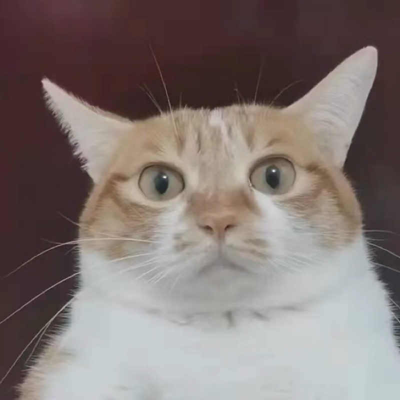 吾爱てづかくにみつ