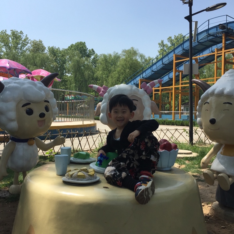 爱喝饮料的蝴蝶1