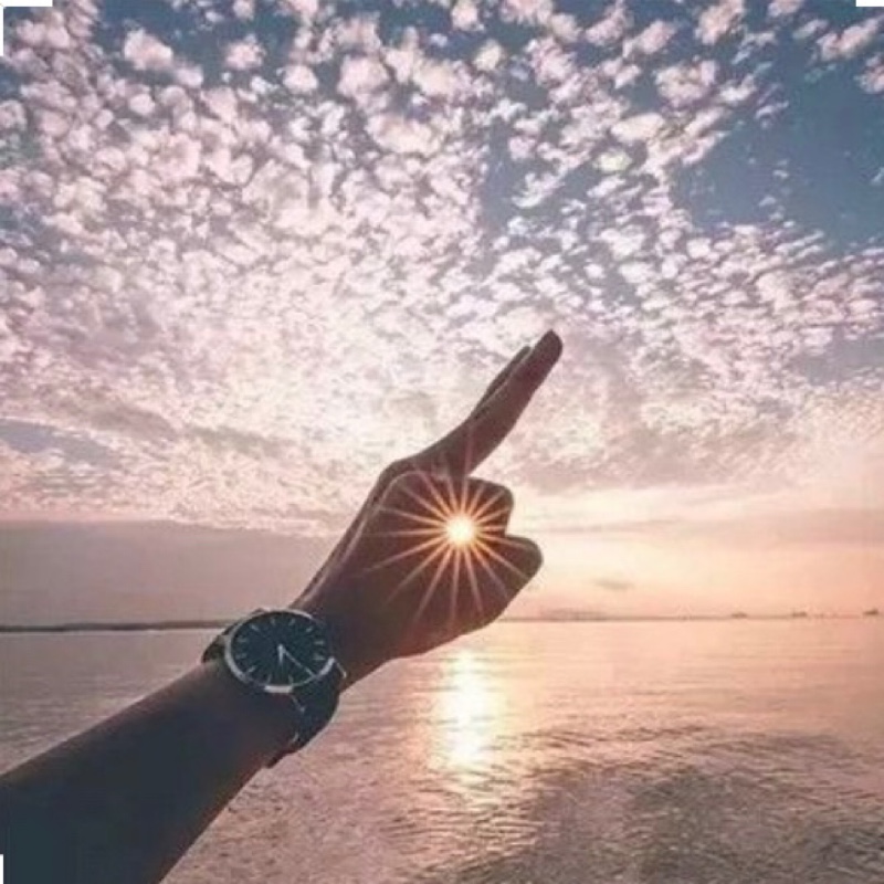 重新加载的粉丝