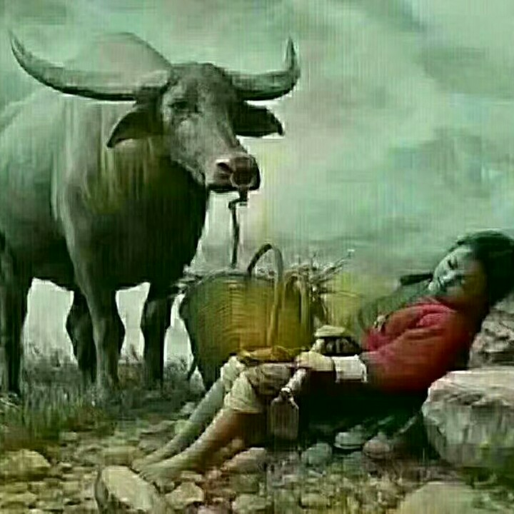 蔚蓝色的短尖忍冬