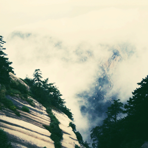 爱吃大米抓饭的叮当猫21