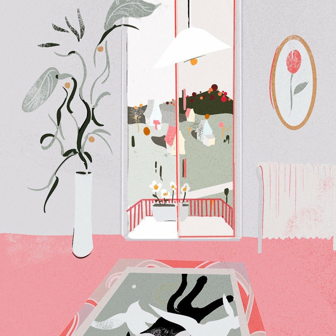 棕红色的矮万代兰