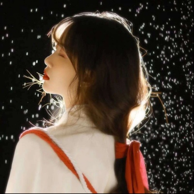 利马爱玩的柿子