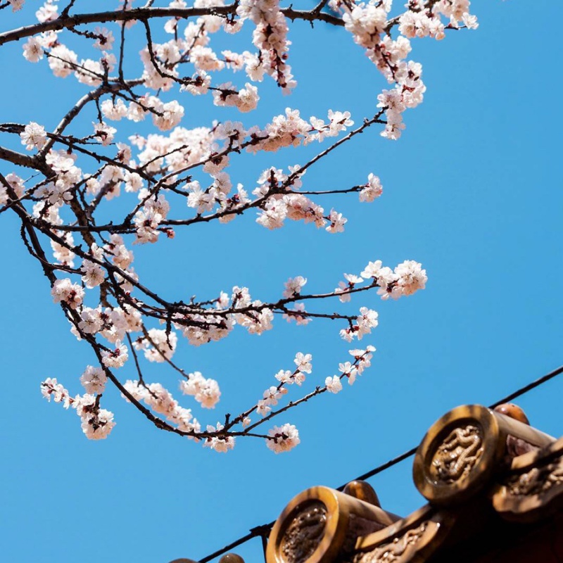 我有一个小时候的味道