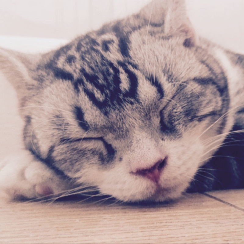 奔跑的丘比特娜