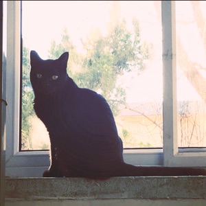 最后一次看见那些人老去m