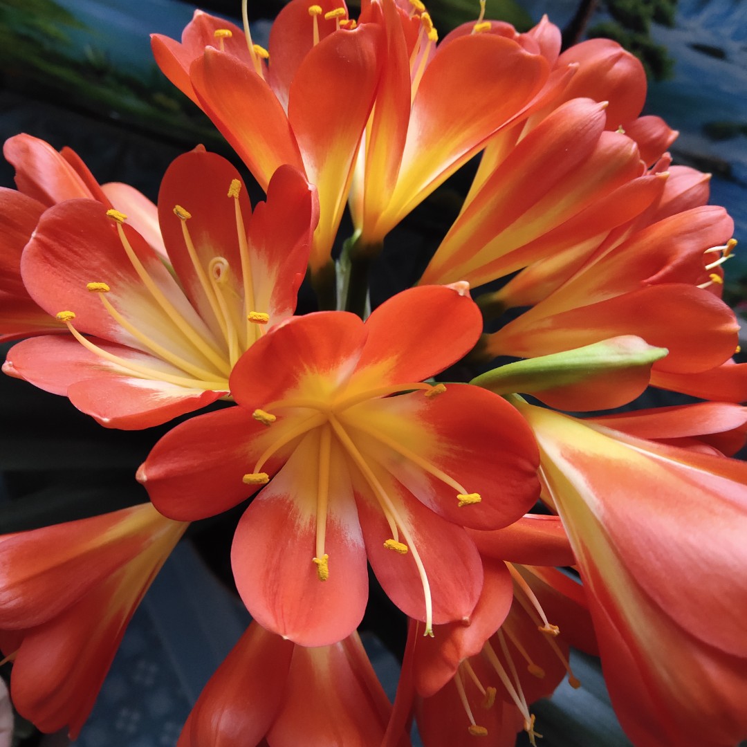 好玩的悠悠球^(00)^