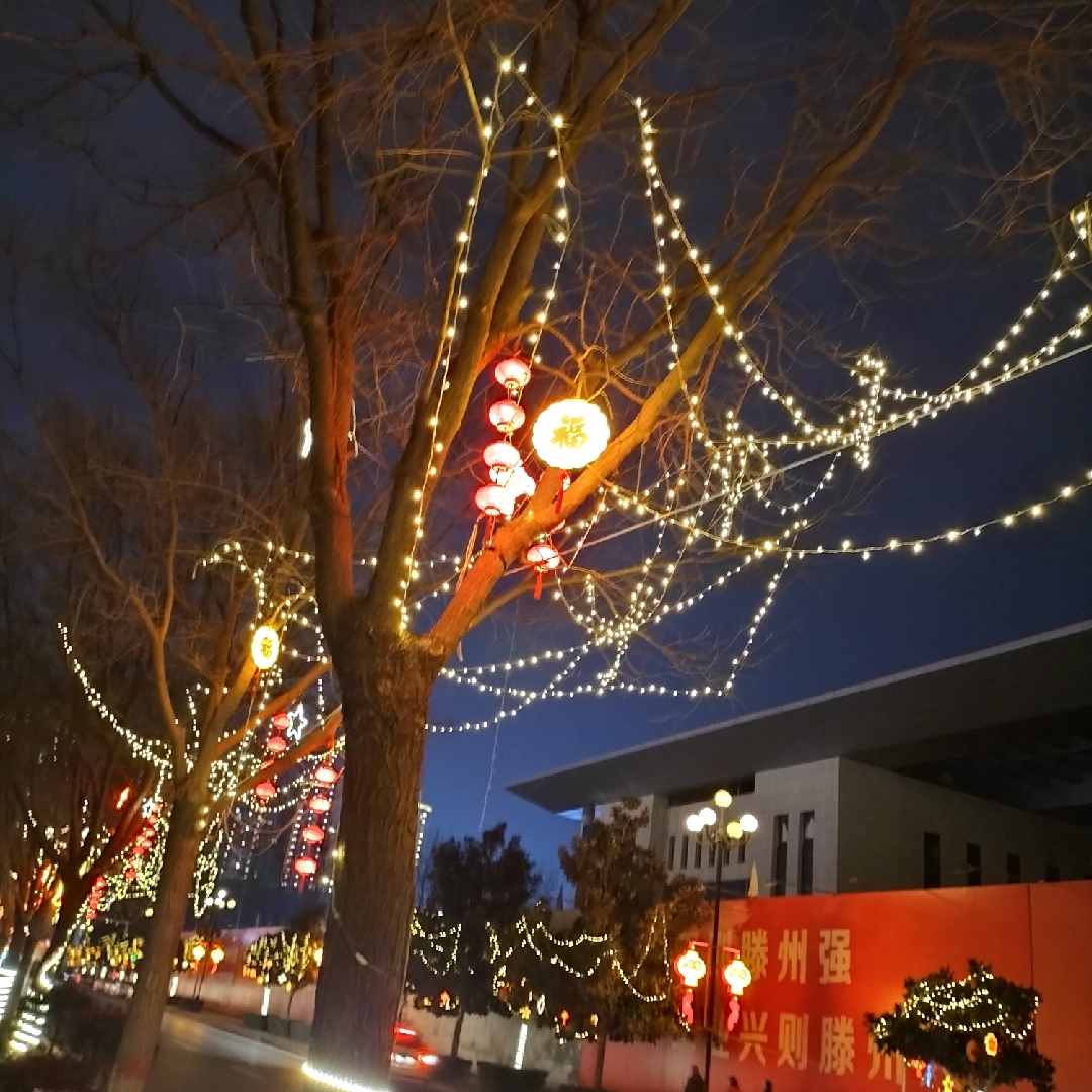 搞笑纹理麻辣油丝