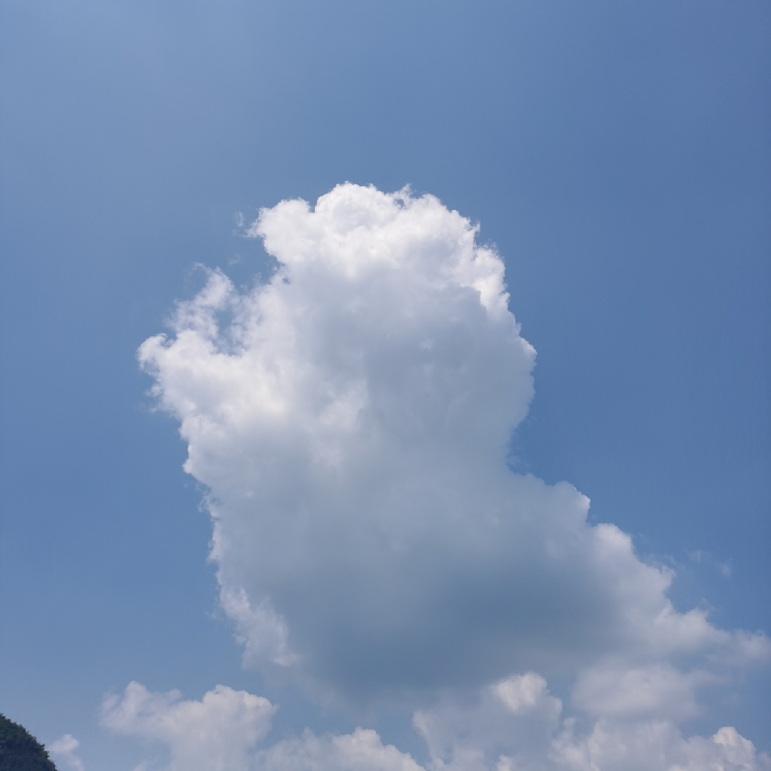 微斯人吾谁与归