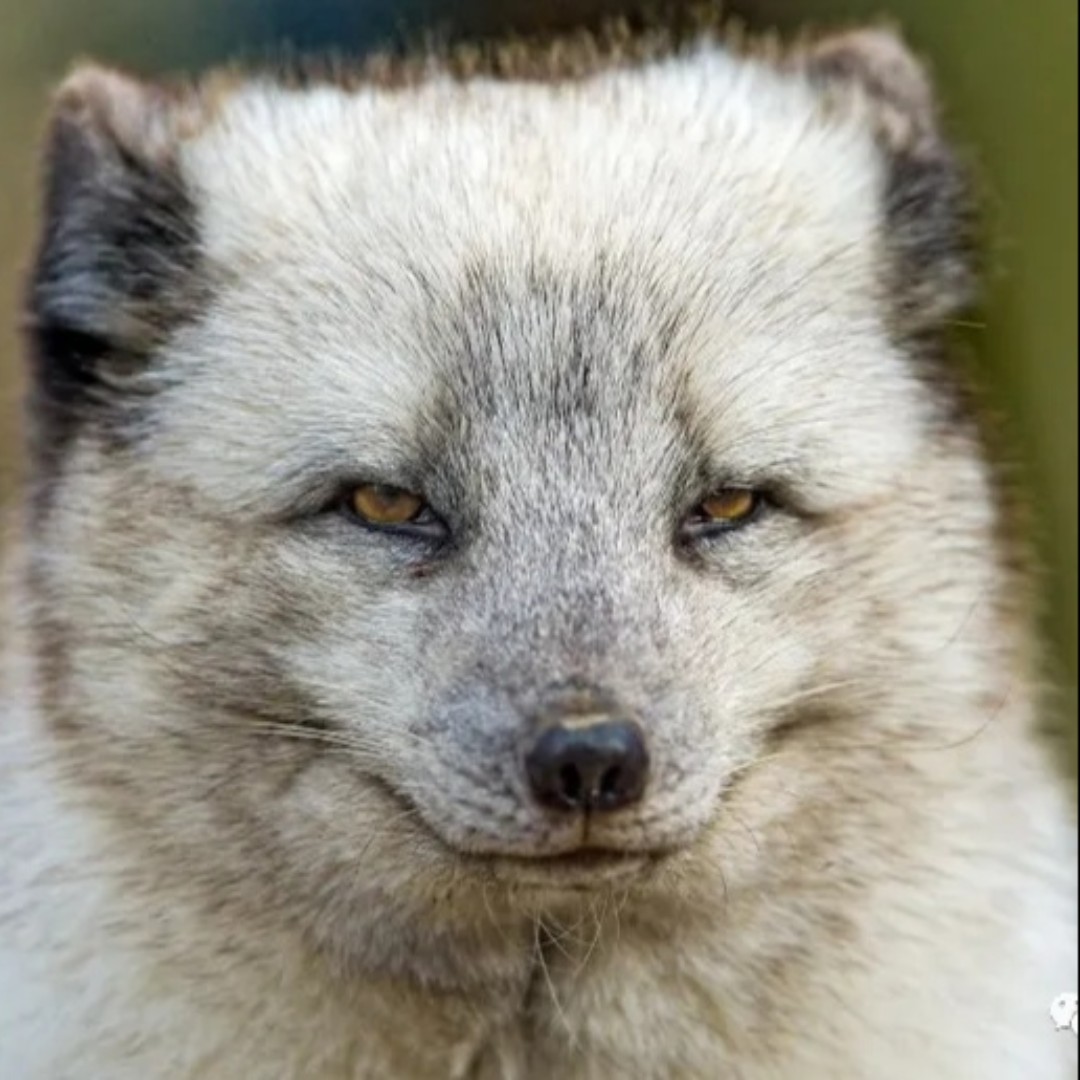 恭喜发财78(火星国际)