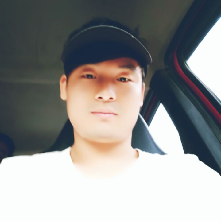 五颜六色的五加