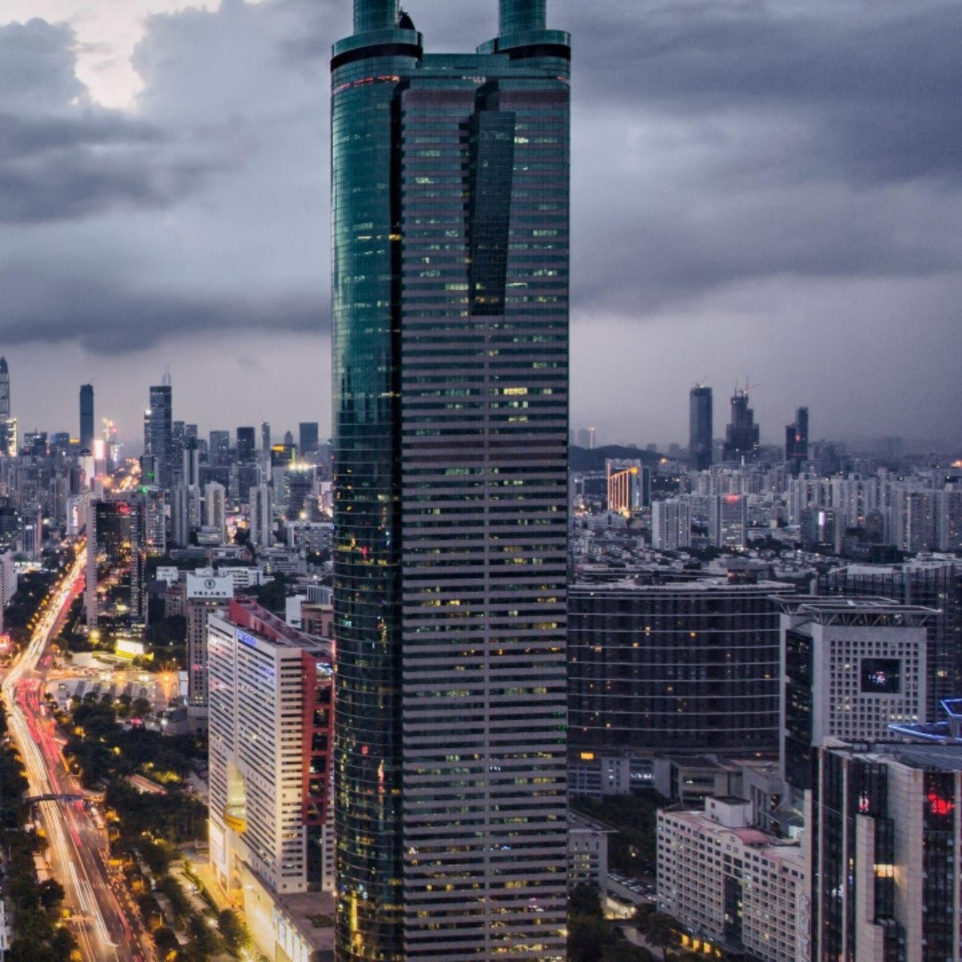 篱笆墙下的蔷薇