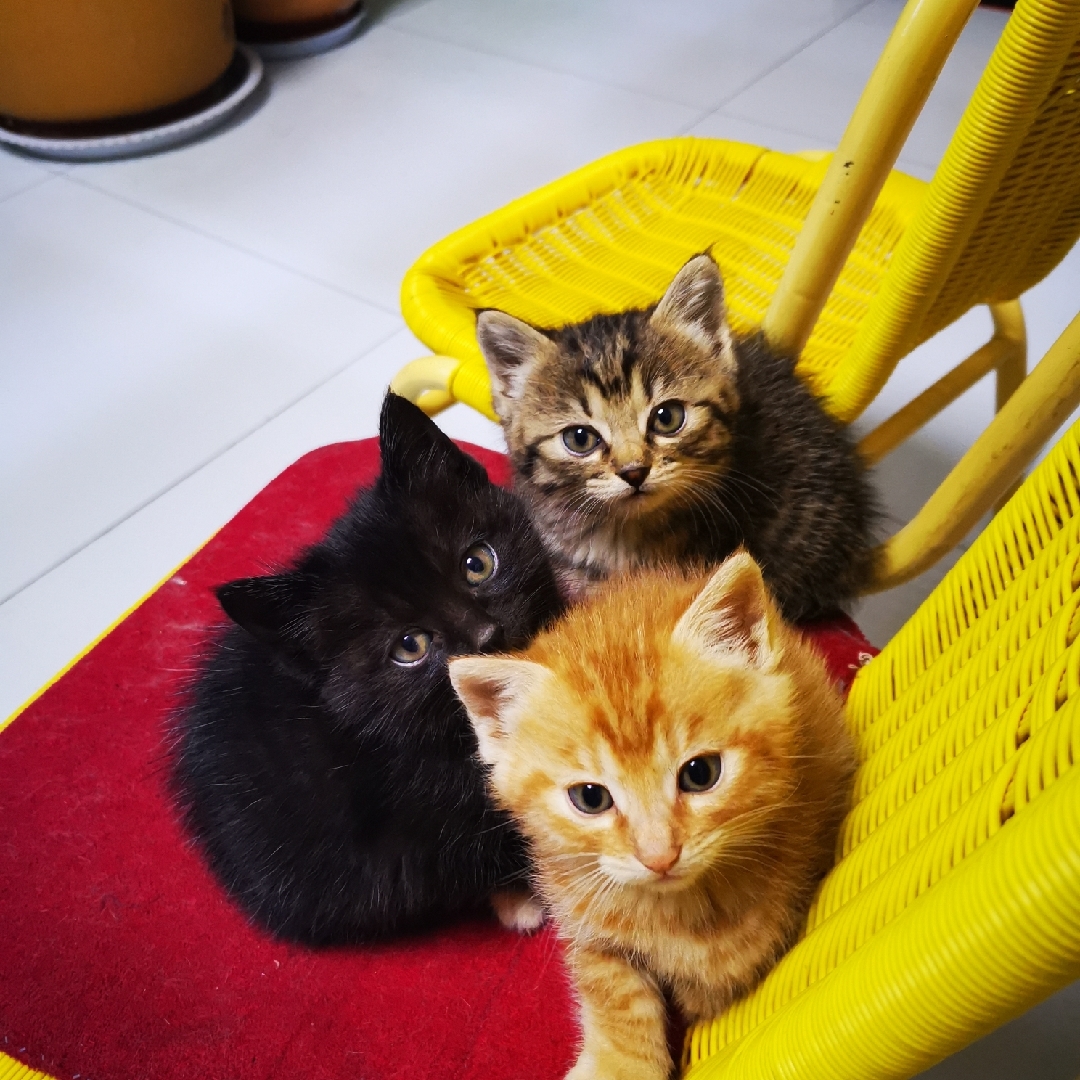 不想一直改名字