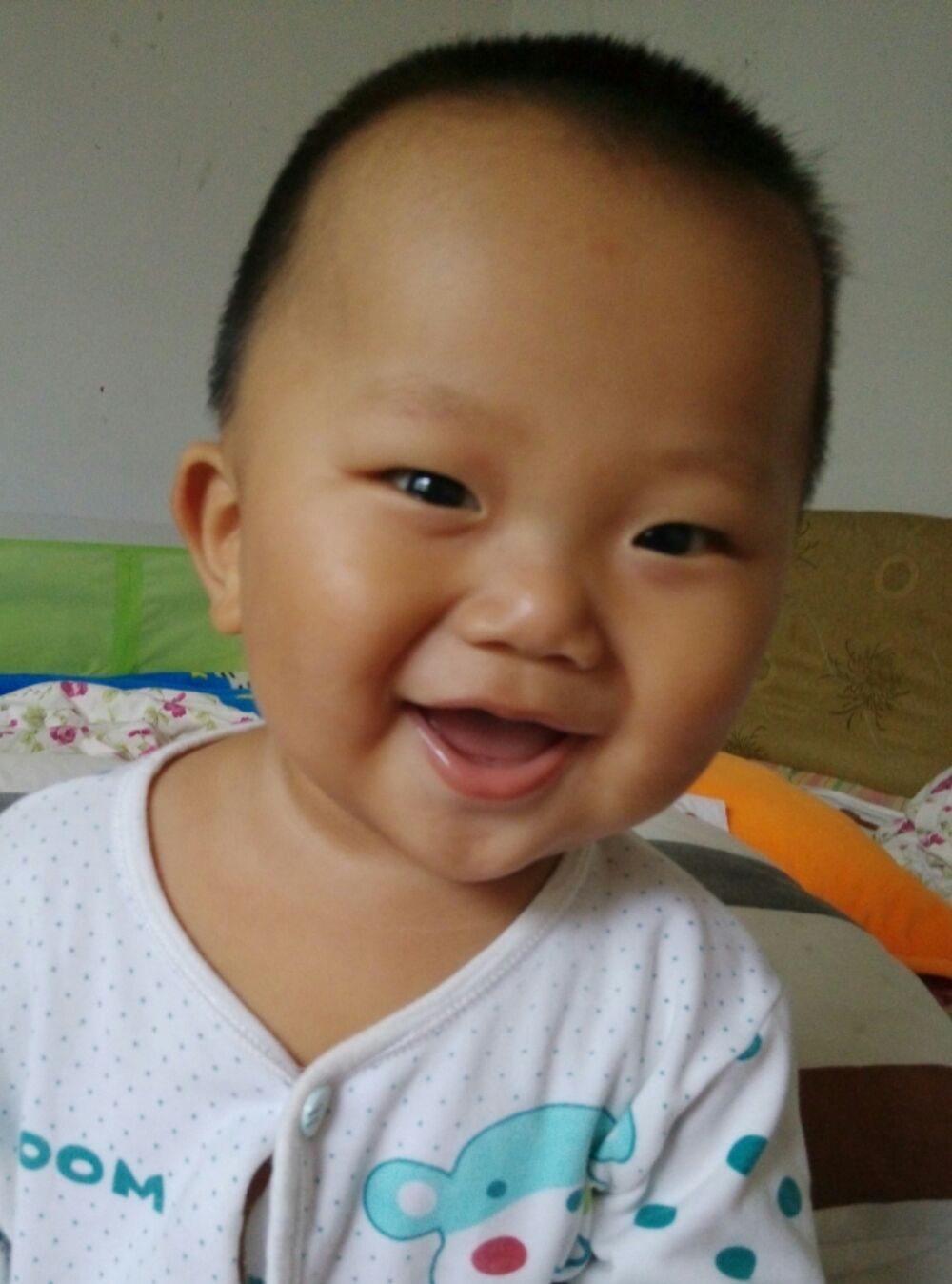 火山上的玫瑰花