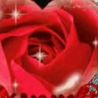 我的名字叫伊莲