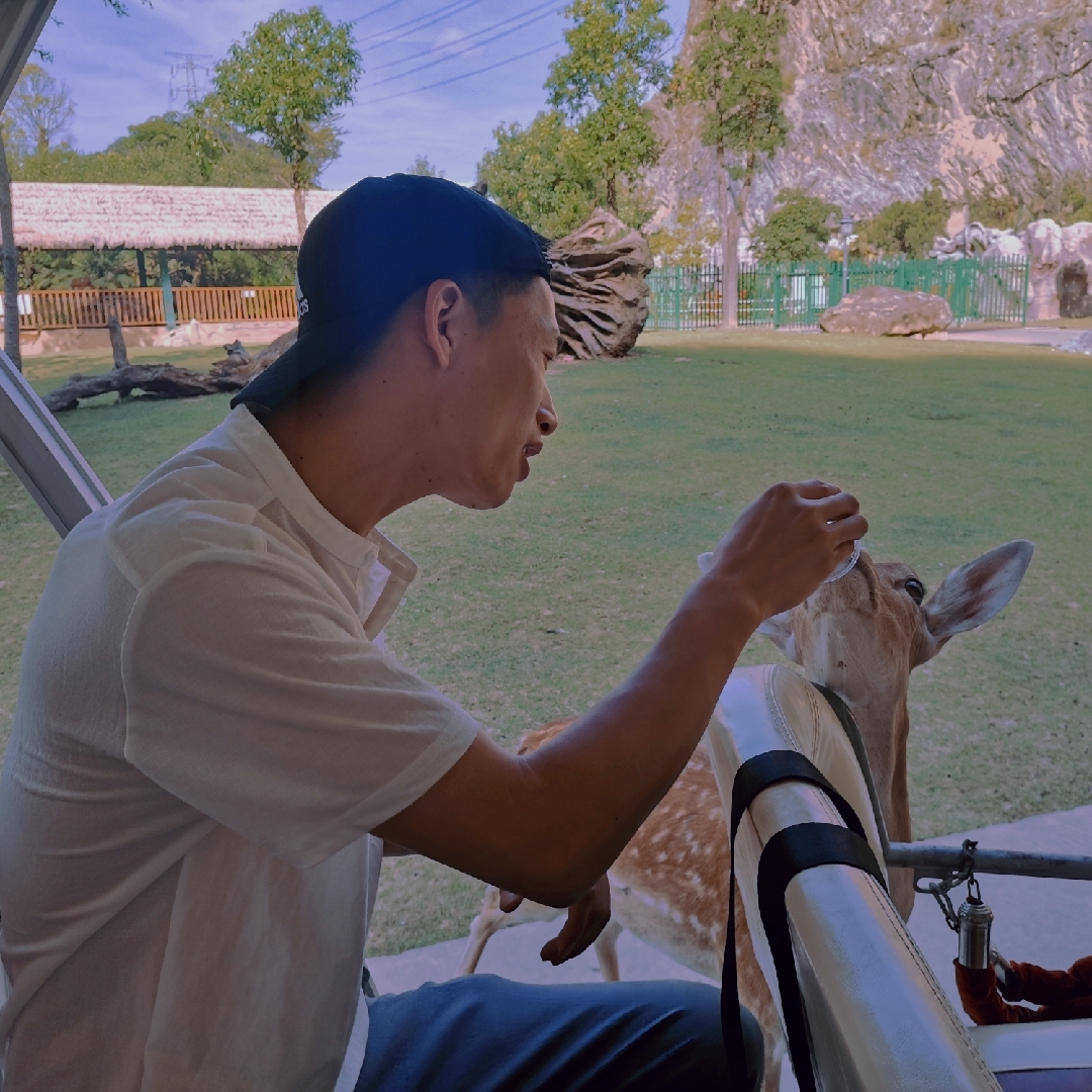 爱吃三丝炒蛋的浮尘