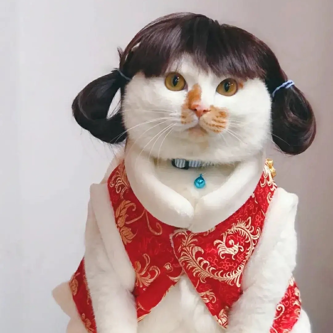 可达不是鸭子才怪