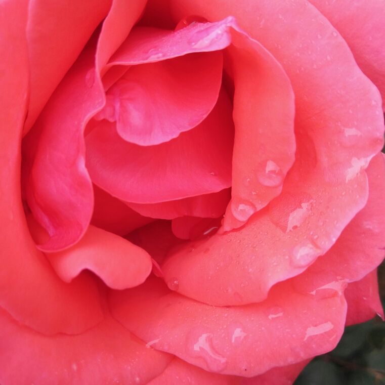 我要有个好心态