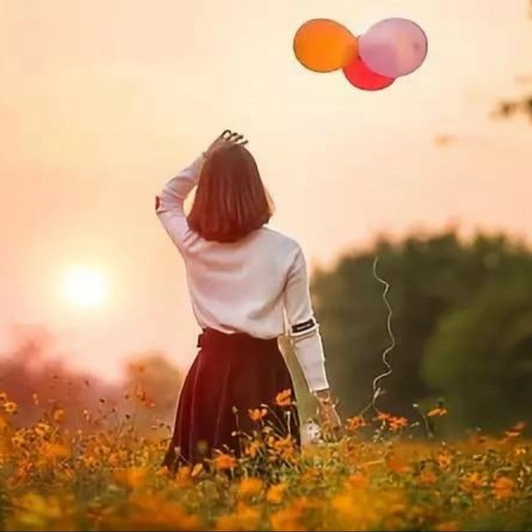 爱吃原味布丁的精灵