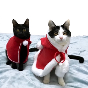 老鸨子划船不用桨，