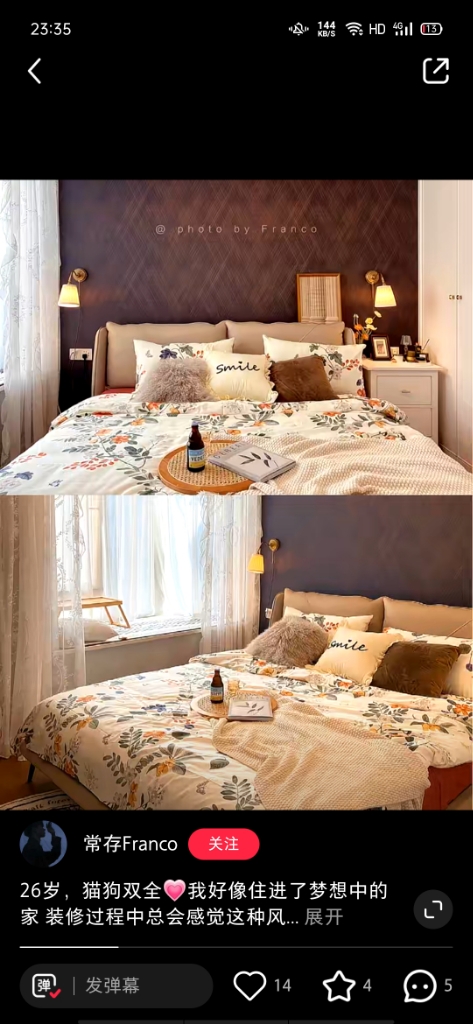 爱吃蜜豆布丁的弗兰克狐妖