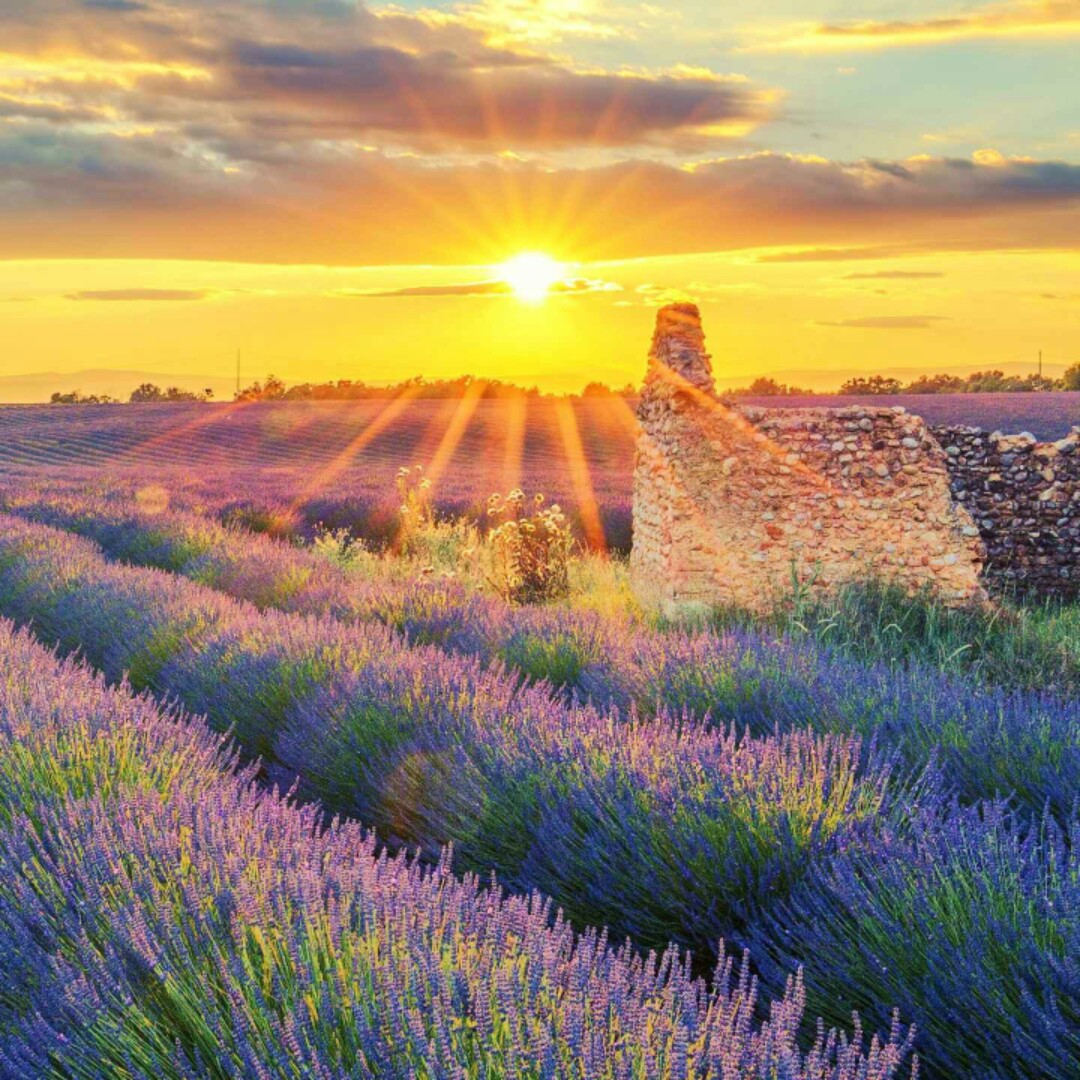 把心留住用心做人