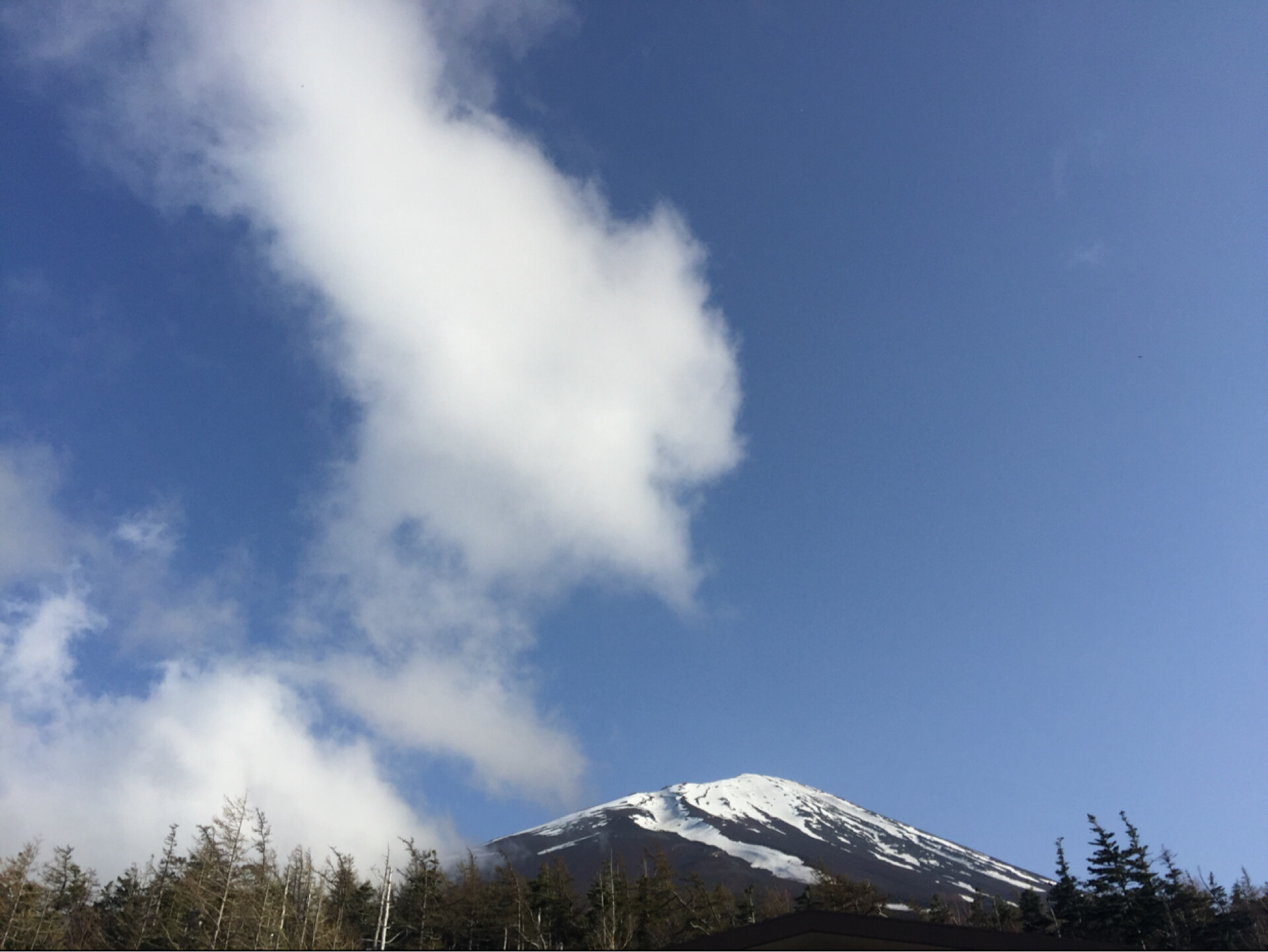 西西哈哈二重奏