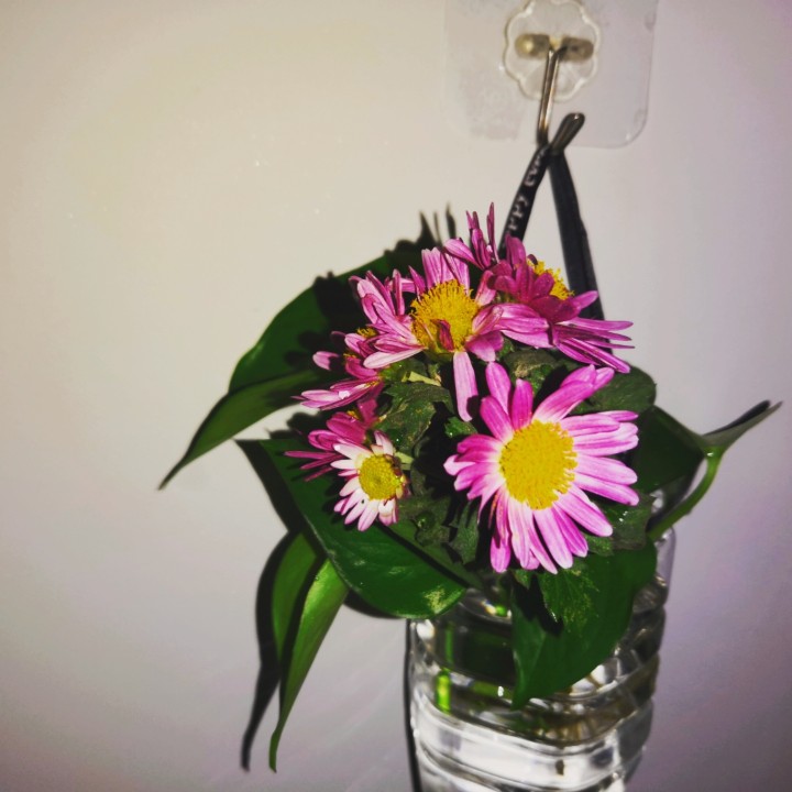 回眸时那一刻呀158