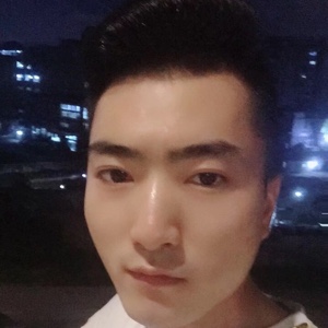 酒红色的维西贯众