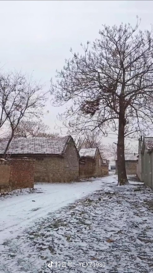 天狼星冒险的鱿鱼