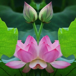 @午后的小鱼儿@