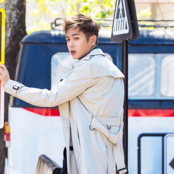 老衲法号小灰灰