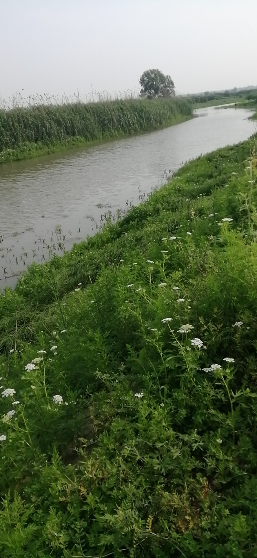 享受生活快乐无极限