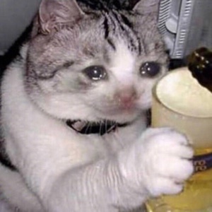 糯米馅团子超好吃