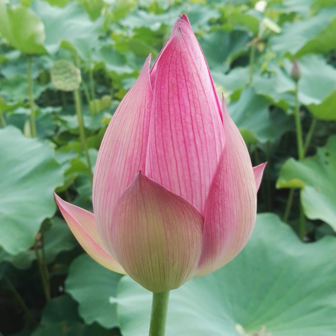 旅途中独特的风景