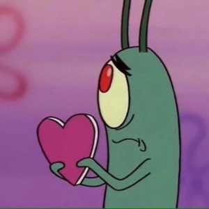 银白的三刺皂荚an