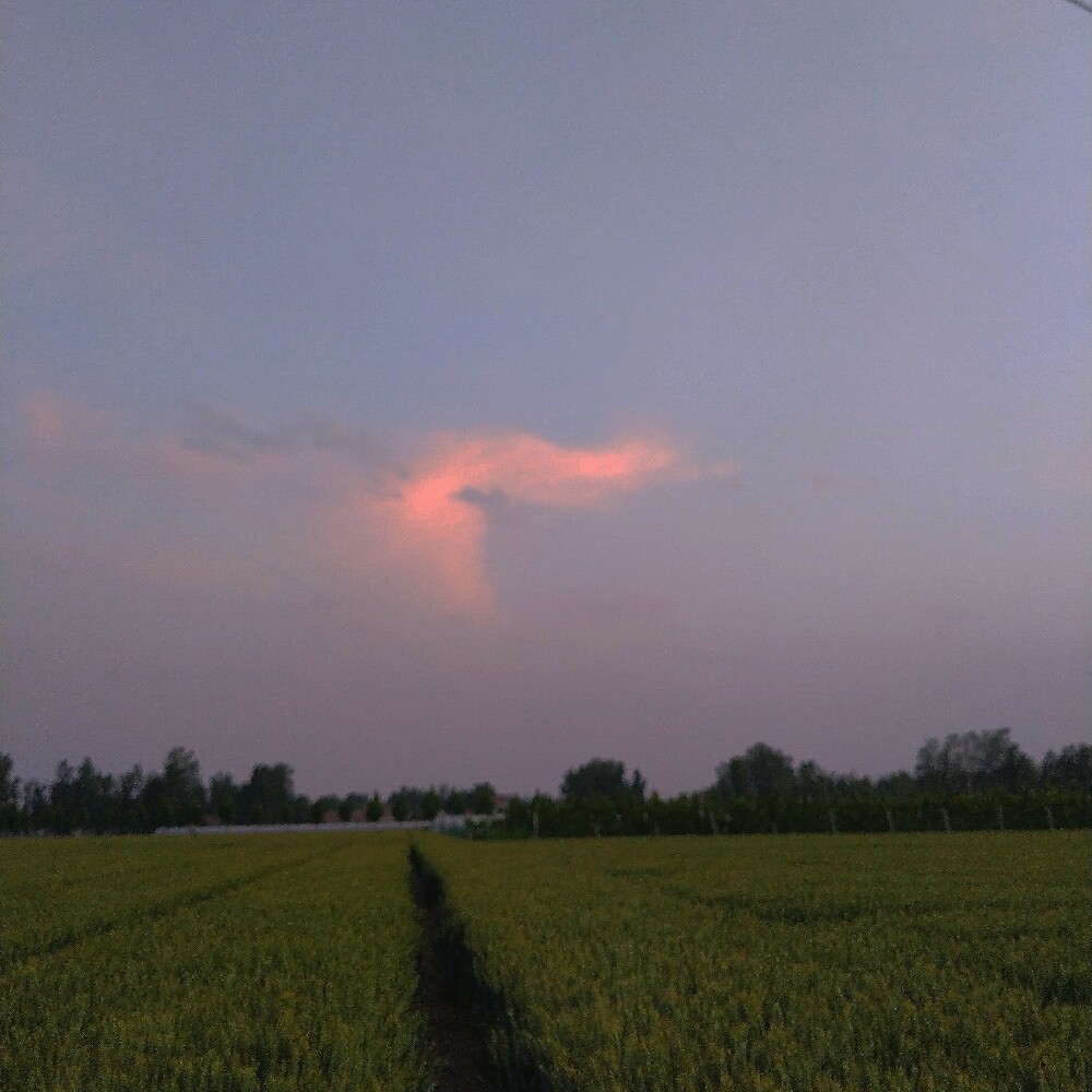 起个名叫太厉害