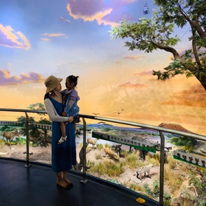 一只飞飞飞飞飞飞飞飞