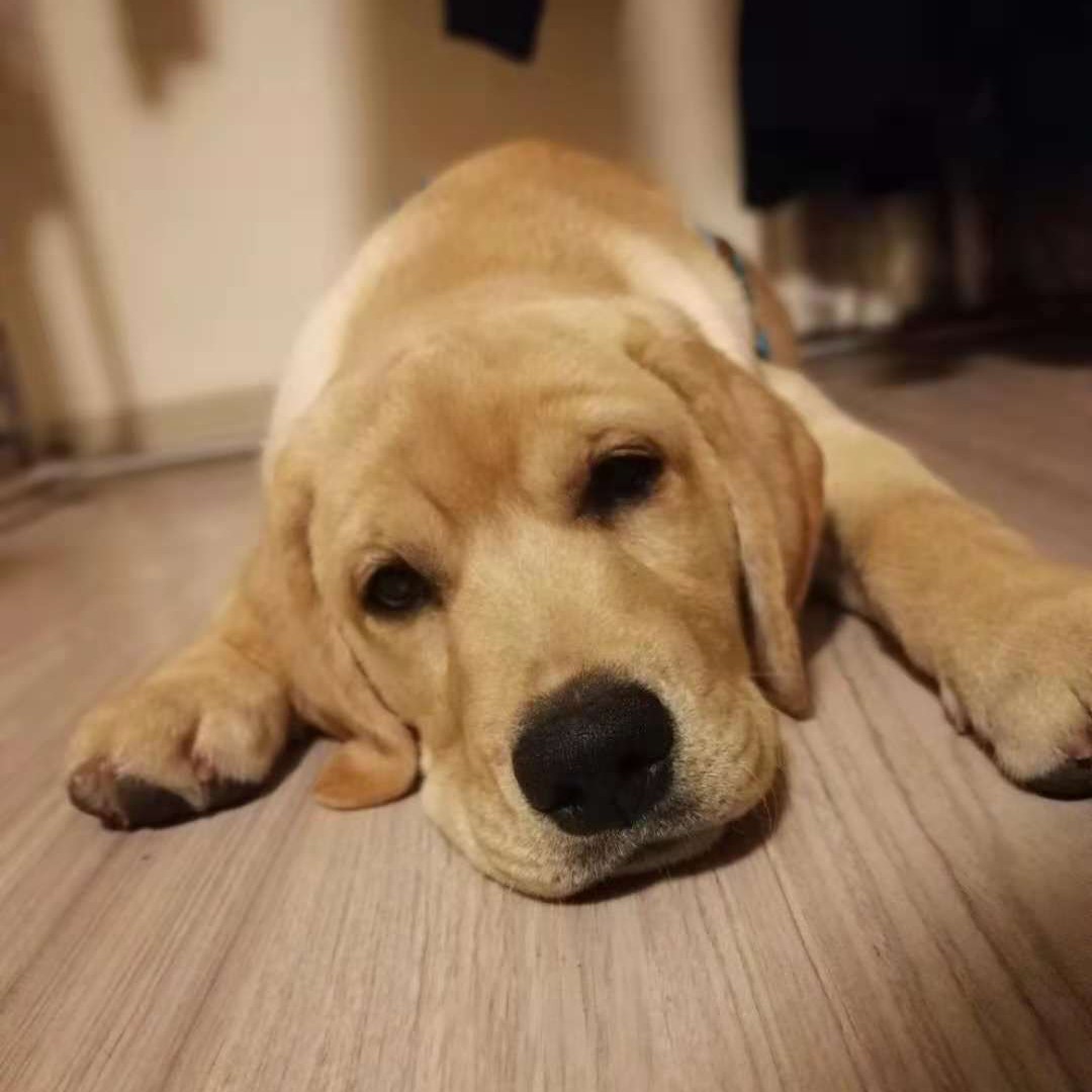 听说孟在十三月丶