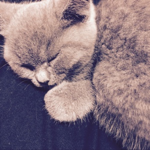 不知道买什么333