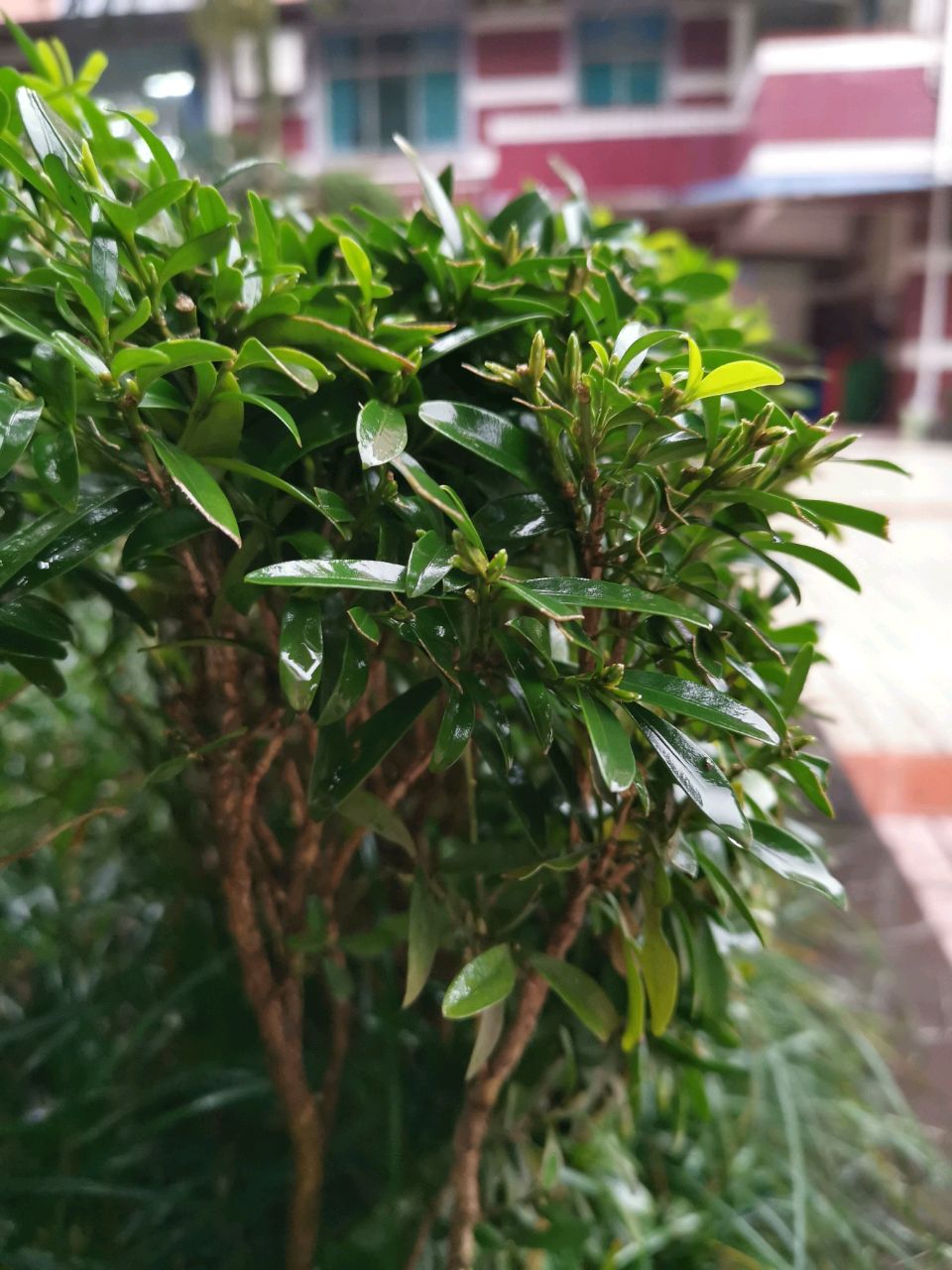 安全行车一辈子