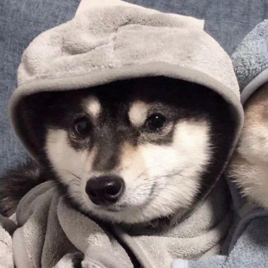 我该怎么说呢TAT