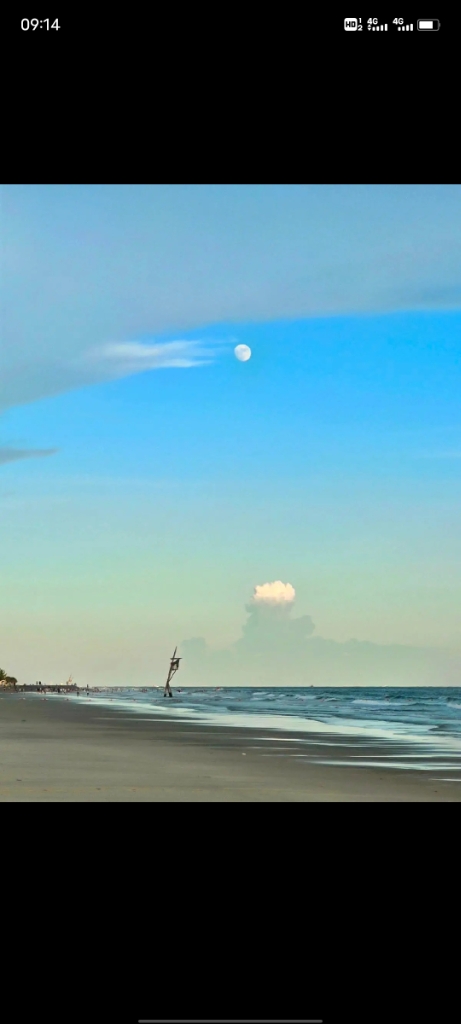 不要找我要评价！！！