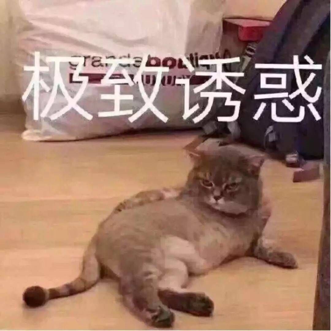 勤快的二师兄