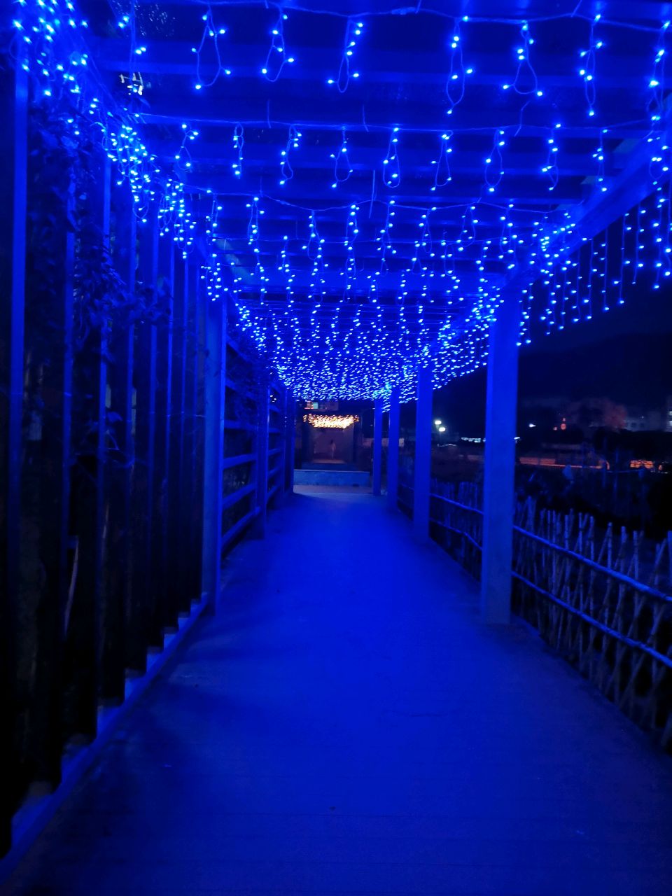 爱吃丹麦吐司的白茶