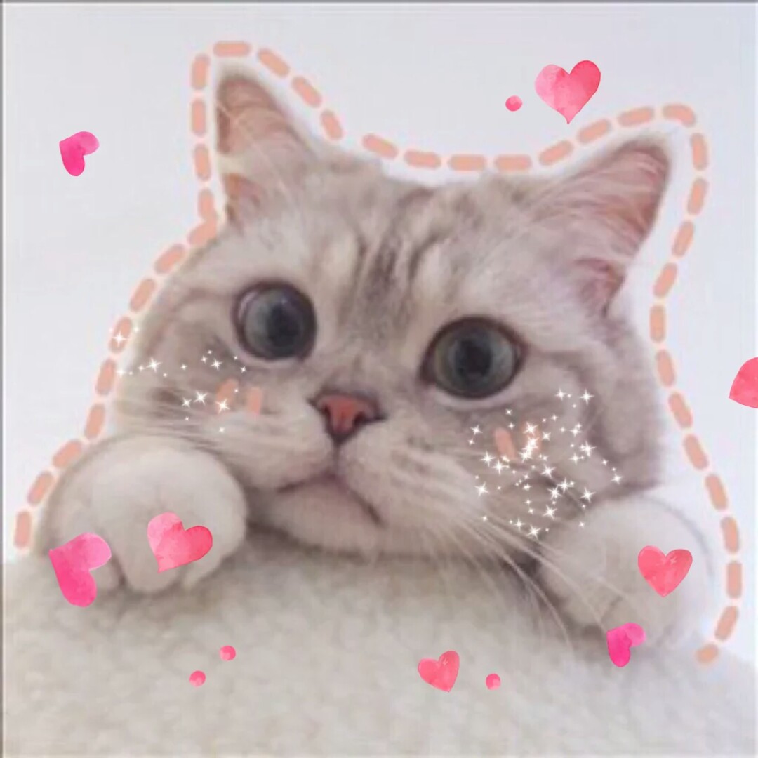 永远哦执着于你fts