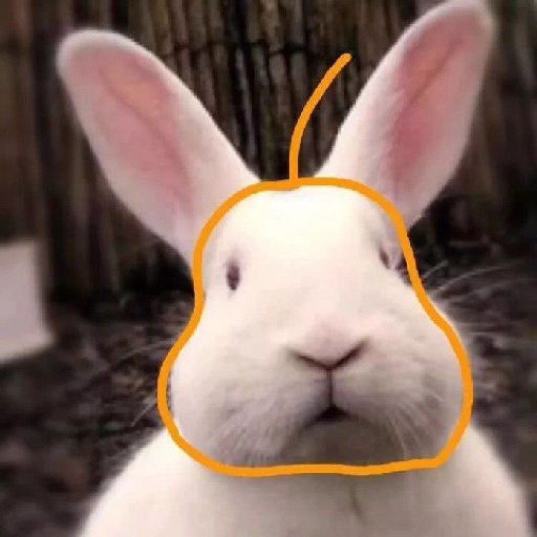 第一帅的纯儿呀